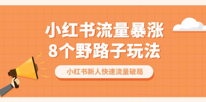 小红书流量-暴涨8个野路子玩法：小红书新人快速流量破局（8节课）-天天有课网