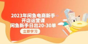 2023年闲鱼电商新手开店运营课：闲鱼新手日出20-30单（18节-实战干货）-天天有课网