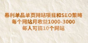 暴利单品单页网站项目和SEO策略 每个网站月收益1000-3000 每人可搞10个-天天有课网