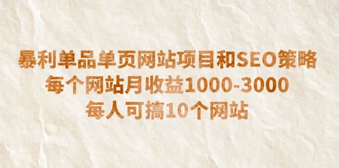暴利单品单页网站项目和SEO策略 每个网站月收益1000-3000 每人可搞10个-天天有课网