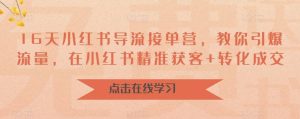 16天-小红书 导流接单营,教你引爆流量,在小红书精准获客+转化成交-天天有课网