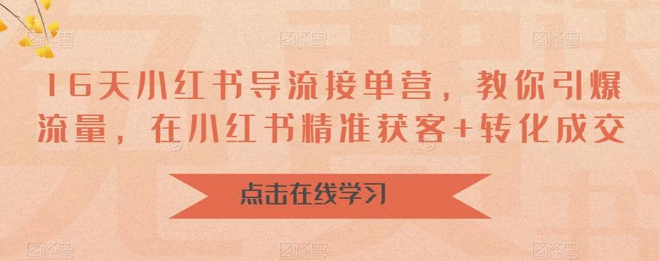 16天-小红书 导流接单营，教你引爆流量，在小红书精准获客+转化成交-天天有课网