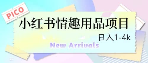 最新小红书情趣用品项目，日入1-4k-天天有课网