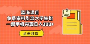 蓝海项目，免费资料引流大学生粉一部手机实现日入300+-天天有课网