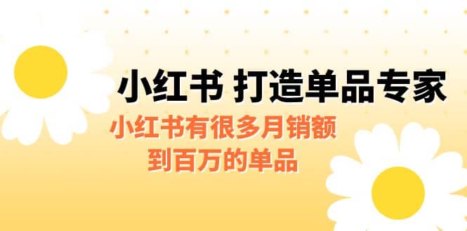 某公众号付费文章《小红书 打造单品专家》小红书有很多月销额到百万的单品-天天有课网