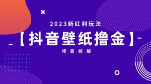 2023新红利玩法：抖音壁纸撸金项目-天天有课网