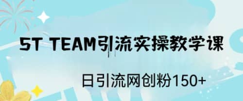 ST TEAM引流实操课，日引流网创粉100+-天天有课网