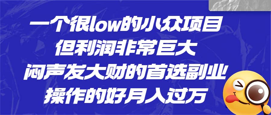 一个很low的小众项目，但利润非常巨大，闷声发大财的首选副业，月入过万-天天有课网