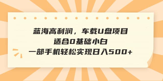 蓝海高利润，车载U盘项目，适合0基础小白，一部手机轻松实现日入500+-天天有课网