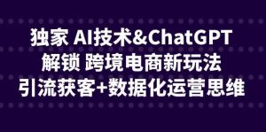 独家 AI技术ChatGPT解锁 跨境电商新玩法，引流获客+数据化运营思维-天天有课网