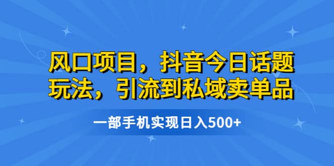 风口项目，抖音今日话题玩法，引流到私域卖单品，一部手机实现日入500+-天天有课网
