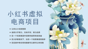 小红书虚拟电商从0到1,让你从小白到精英(20节实操课程)-天天有课网
