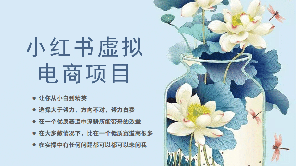 小红书虚拟电商从0到1，让你从小白到精英（20节实操课程）-天天有课网
