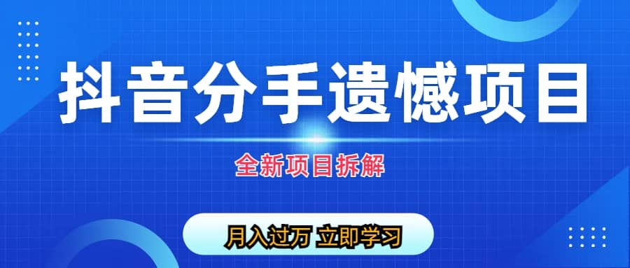 自媒体抖音分手遗憾项目私域项目拆解-天天有课网