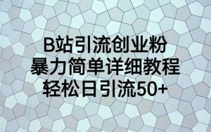 B站引流创业粉,暴力简单详细教程,轻松日引流50+-天天有课网