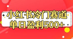 小红书冷门赛道,单日盈利500+【揭秘】-天天有课网