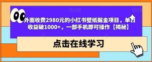 外面收费2980元的小红书壁纸掘金项目,单日收益破1000+,一部手机即可操作【揭秘】-天天有课网