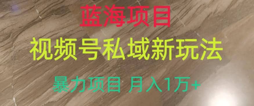 蓝海项目，视频号私域新玩法，暴力项目月入1万+【揭秘】-天天有课网