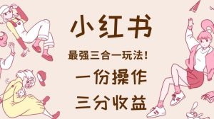 小红书最强三合一玩法,一份操作获得三份收益!【揭秘】-天天有课网