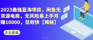 2023最强蓝海项目,闲鱼无货源电商,无风险易上手月赚10000,见效快【揭秘】-天天有课网
