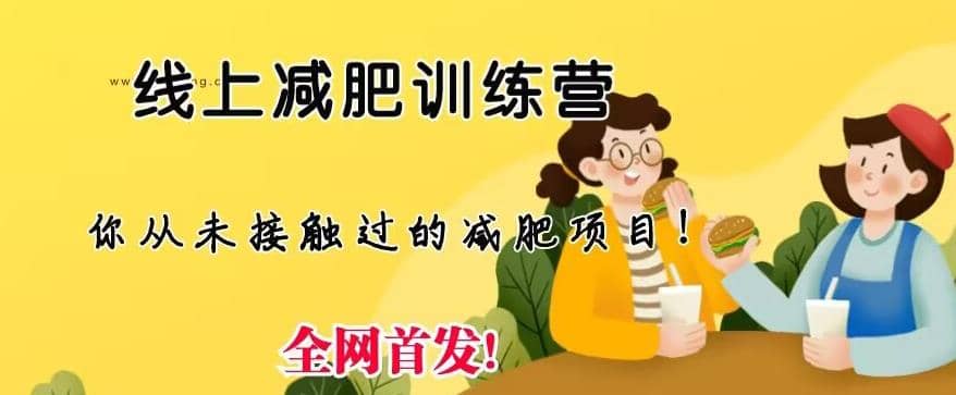 线上减肥训练营，足不出户，仅靠拉几个社群，发几条朋友圈，就可以月实现入五位【揭秘】-天天有课网