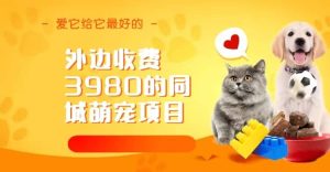 同城萌宠项目,用最冷门的玩法冲击最热门的市场(教程+素材)-天天有课网