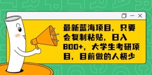 最新蓝海项目,只要会复制粘贴,日入800+,大学生考研项目,目前做的人极少-天天有课网