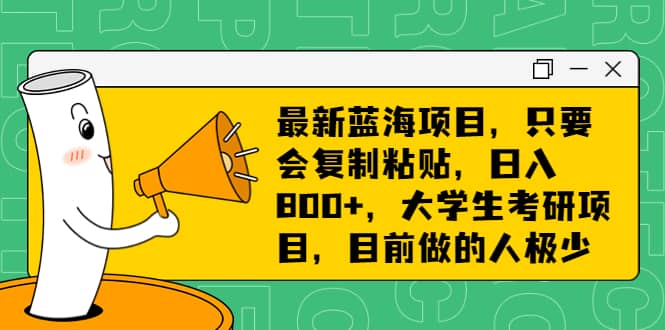 最新蓝海项目，只要会复制粘贴，日入800+，大学生考研项目，目前做的人极少-天天有课网