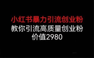 小红书暴力引流创业粉,教你引流高质量创业粉,价值2980-天天有课网