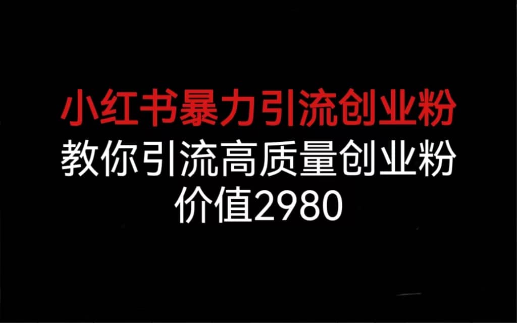 小红书暴力引流创业粉，教你引流高质量创业粉，价值2980-天天有课网