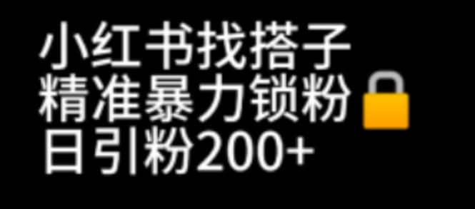 小红书找搭子暴力精准锁粉+引流日引200+精准粉-天天有课网