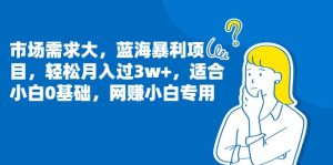 市场需求大，蓝海暴利项目，轻松月入过3w+，适合小白0基础，网赚小白专用-天天有课网