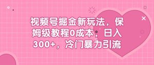 视频号掘金新玩法，保姆级教程0成本，日入300+，冷门暴力引流-天天有课网