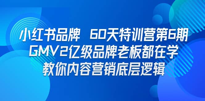 小红书品牌 60天特训营第6期 GMV2亿级品牌老板都在学 教你内容营销底层逻辑-天天有课网