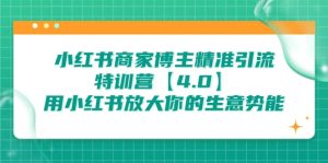 小红书商家 博主精准引流特训营【4.0】用小红书放大你的生意势能-天天有课网