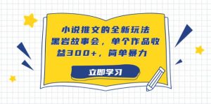 小说推文的全新玩法,黑岩故事会,单个作品收益300+,简单暴力-天天有课网