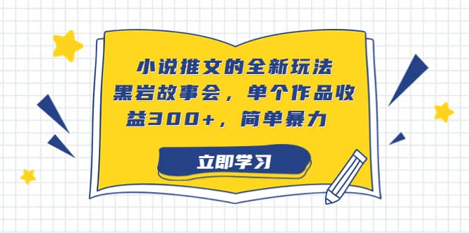 小说推文的全新玩法，黑岩故事会，单个作品收益300+，简单暴力-天天有课网