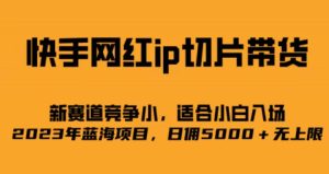 快手网红ip切片新赛道,竞争小事,适合小白 2023蓝海项目-天天有课网