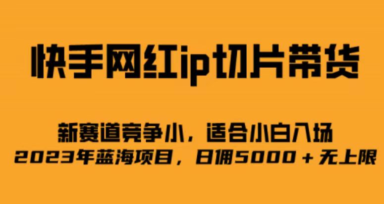 快手网红ip切片新赛道，竞争小事，适合小白 2023蓝海项目-天天有课网