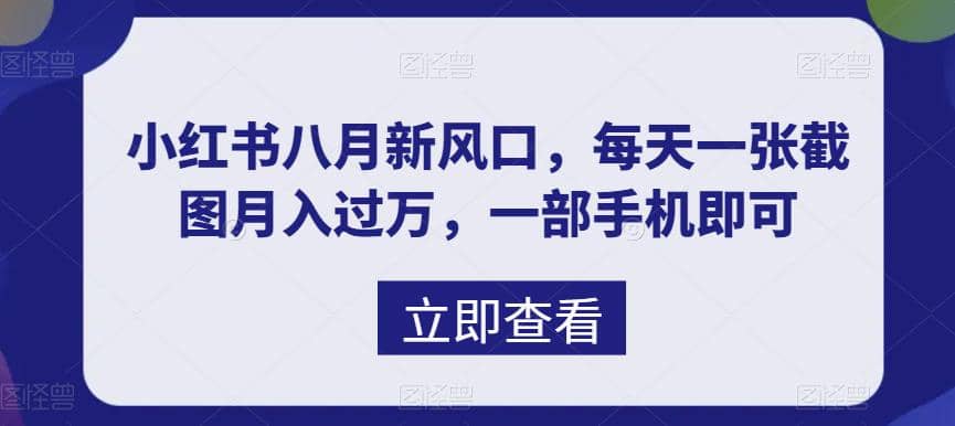 八月新风口，小红书虚拟项目一天收入1000+，实战揭秘-天天有课网