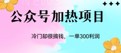 冷门公众号加热项目，一单利润300+-天天有课网