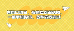 新风口项目，视频号祝福视频，一部手机操作，多种变现方式-天天有课网