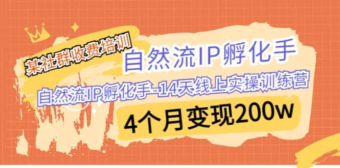 某社群收费培训：自然流IP 孵化手-14天线上实操训练营 4个月变现200w-天天有课网