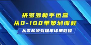 拼多多新手运营从0-100单策划课程,从零起步到爆单详细教程-天天有课网