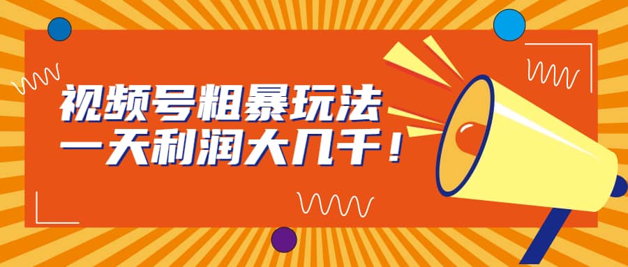 视频号粗暴玩法，一天利润大几千-天天有课网