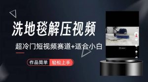 超冷门抖音短视频赛道-清洗地毯解压视频-简单无脑怼作品(教程+素材)-天天有课网