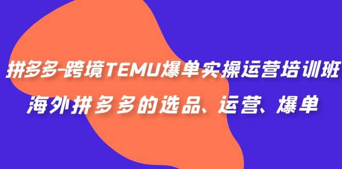 拼多多-跨境TEMU爆单实操运营培训班，海外拼多多的选品、运营、爆单-天天有课网