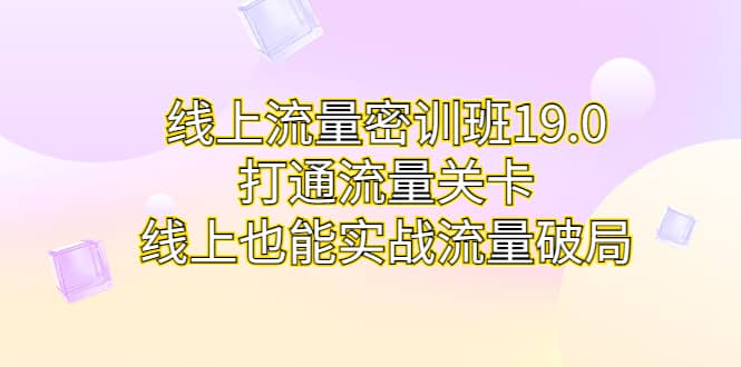 线上流量密训班19.0，打通流量关卡，线上也能实战流量破局-天天有课网