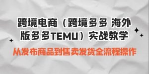 跨境电商（跨境多多 海外版多多TEMU）实操教学 从发布商品到售卖发货全流程-天天有课网