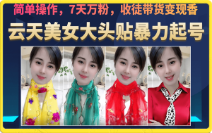 美女大头贴暴力起号教学，简单操作，7天万粉，收徒带货变现香-天天有课网